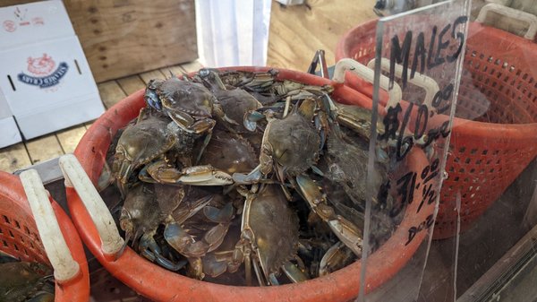 Anastasi Seafood by null