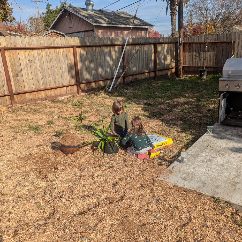 Donis Tree Service - Tree Services Near Me Donis Tree Service - Tree Services Near Me
