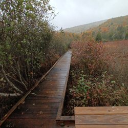 Cranberry Glades Botanical Area