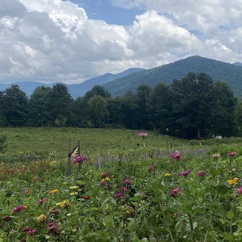 The Never Ending Flower Farm - Florists Near Me - Barnardsville, North Carolina The Never Ending Flower Farm - Florists Near Me - Barnardsville, North Carolina