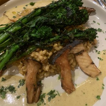 Luma Bar & Eatery - Mediterranean Near Me - Petaluma, California Luma Bar & Eatery - Mediterranean Near Me - Petaluma, California