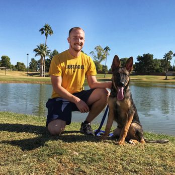 Towse K9 Solutions - Pet Training Near Me Towse K9 Solutions - Pet Training Near Me