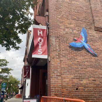 Binghamton Hots - Outside - cute parrot art!! - American Near Me - Binghamton, New York
