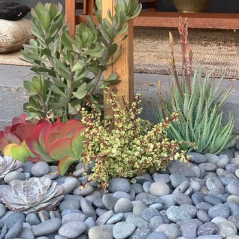 Artemisia Nursery - Nurseries & Gardening Near Me - Los Angeles, California
