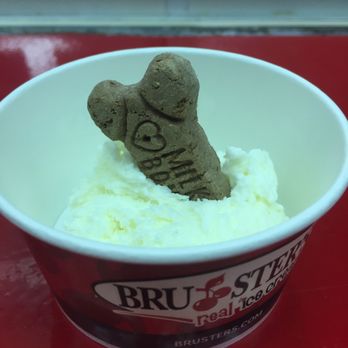 Bruster's Real Ice Cream - Doggy cup compliments of our sweet server. - Ice Cream & Frozen Yogurt Near Me - Williamsburg, Virginia