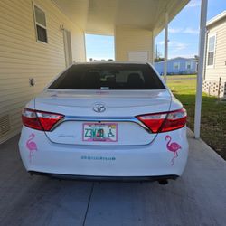 Riptide Wraps & Details  - Flamingos everyone can see