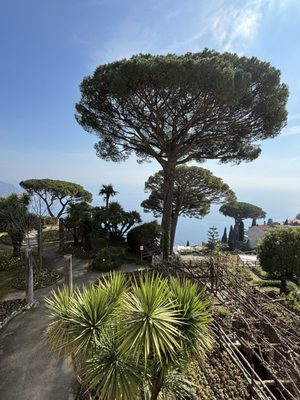 Villa Rufolo by null