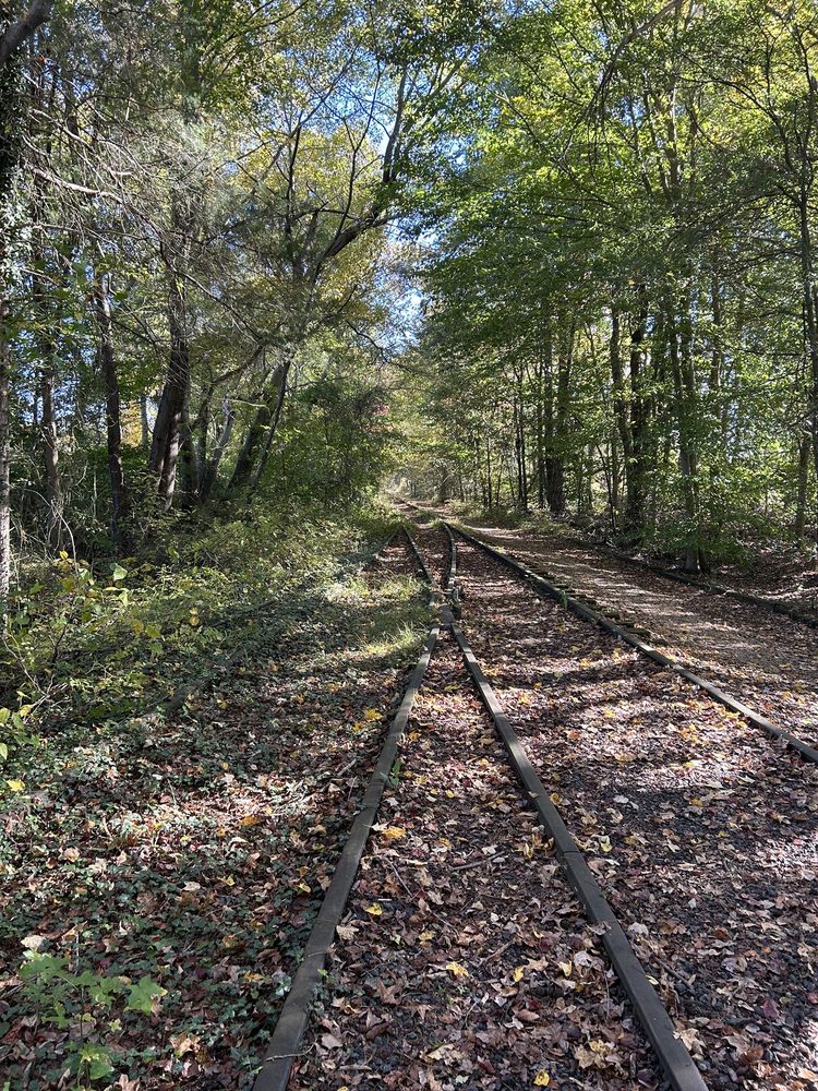 DAHLGREN RAILROAD HERITAGE TRAIL Updated October 2024 Rt 605, King Virginia Hiking