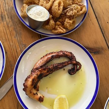 Mandolin Aegean Bistro - Fried Calamari and Grilled Octopus - Mediterranean Near Me - Miami, Florida Mandolin Aegean Bistro - Fried Calamari and Grilled Octopus - Mediterranean Near Me - Miami, Florida
