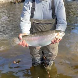 On The Fly Excursions