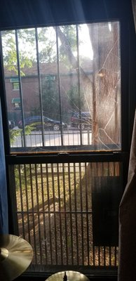 A&S Windows and Glass Repair NYC by null