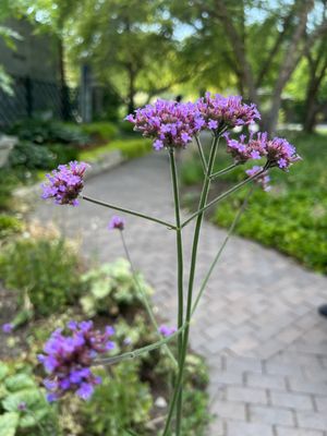 Idaho Botanical Garden by null