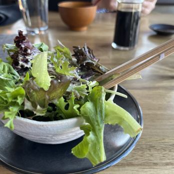 Leezakaya - The salad which was included with my entrée. The dressing was so fresh. - Izakaya Near Me - Aurora, Colorado Leezakaya - The salad which was included with my entrée. The dressing was so fresh. - Izakaya Near Me - Aurora, Colorado