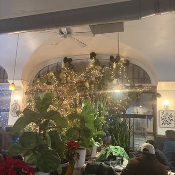 My Thai Vegan Cafe - Thai Near Me - Boston, Massachusetts