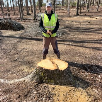 MakFamily - Tree Services Near Me - Indian Trail, North Carolina MakFamily - Tree Services Near Me - Indian Trail, North Carolina