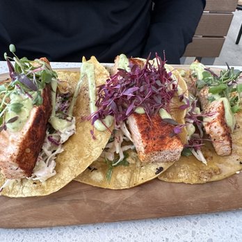 Malibu Brewing - Blackened Salmon Fish tacos - Breweries Near Me - Malibu, California Malibu Brewing - Blackened Salmon Fish tacos - Breweries Near Me - Malibu, California