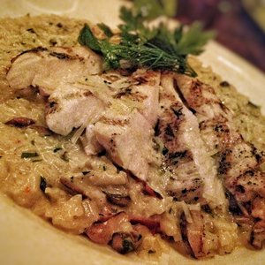 My Top Ten Bites - July 2007 - June 2008