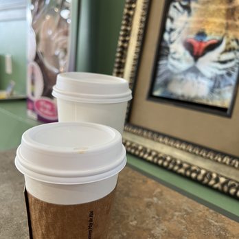 Bajah's Cat Cafe - Cafes Near Me - Tiverton, Rhode Island