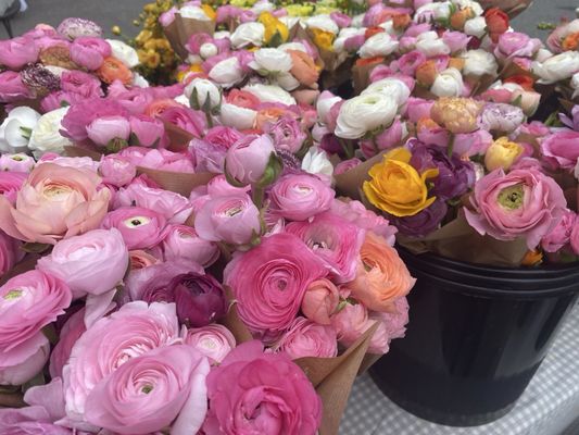 Morningside Farmer's Market by null