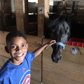 Sarah's Pony Rides - Horseback Riding Near Me - Willow Springs, Illinois