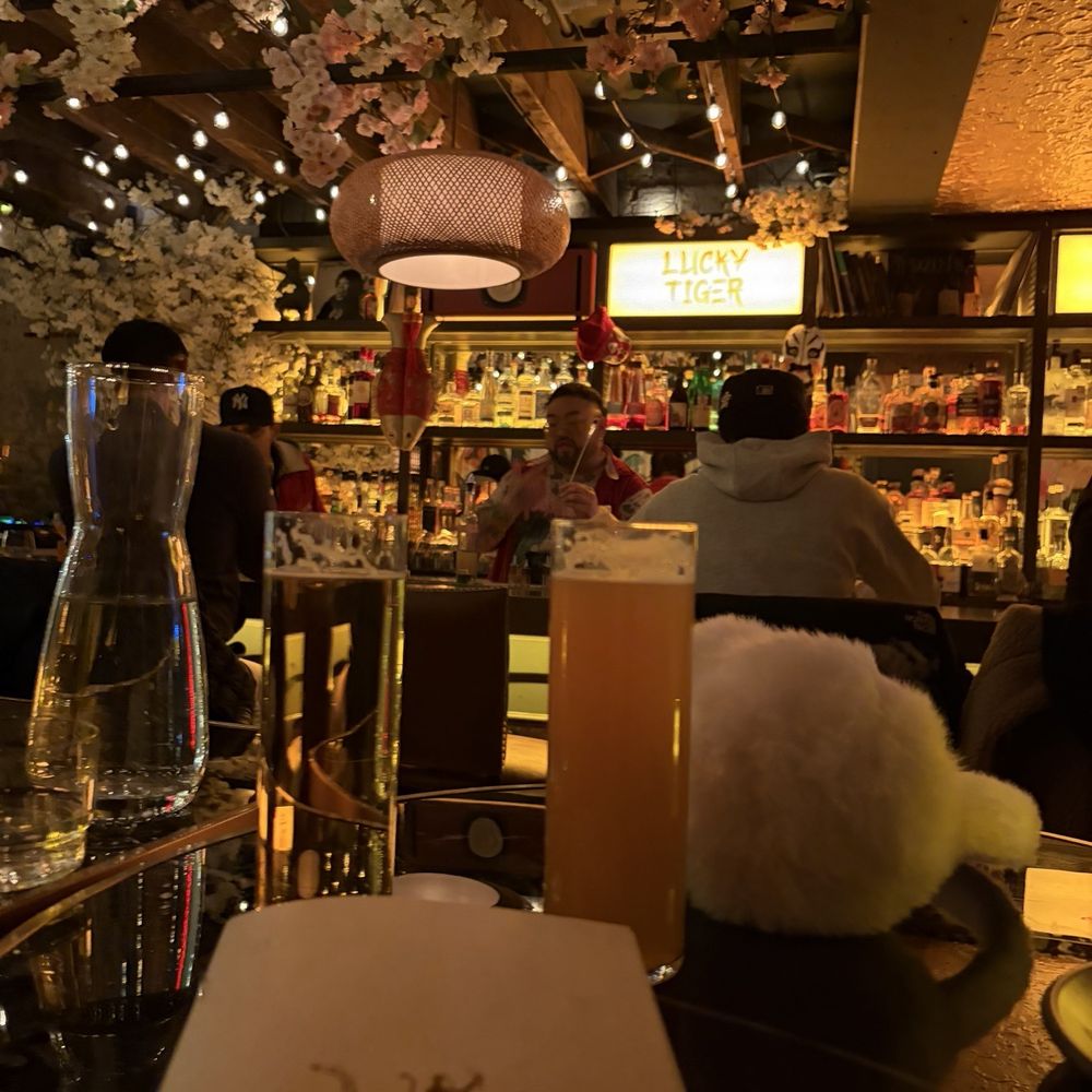 Bar / Beer Bar / Beer