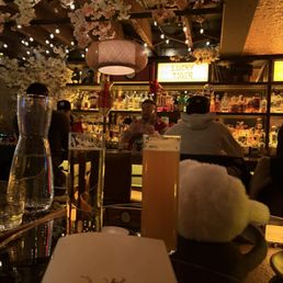 Bar / Beer