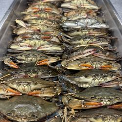 Edgartown Seafood