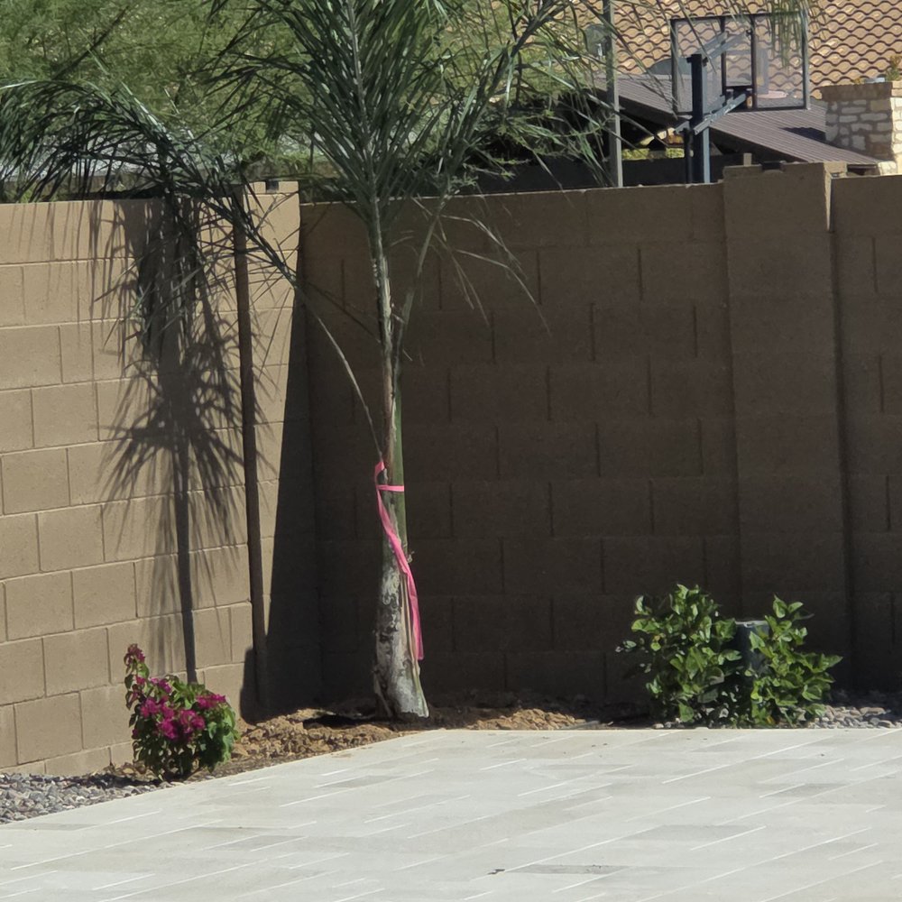 Treeland Nurseries - Nurseries & Gardening Near Me - Mesa, Arizona