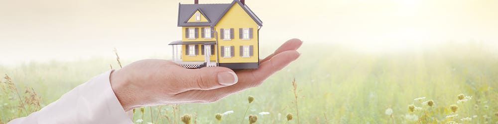 T Green's Tree Care - tree service in Virginia Beach, VA