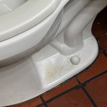 Karen's Bakery and Cafe - Toilet has not been cleaned properly. This picture was taken at 11 AM. - Bakeries Near Me - Folsom, California Karen's Bakery and Cafe - Toilet has not been cleaned properly. This picture was taken at 11 AM. - Bakeries Near Me - Folsom, California