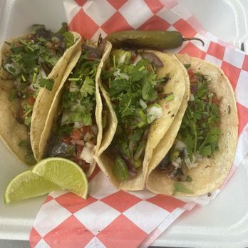 Hello Taco - Veggie tacos - Tacos Near Me - Davie, Florida
