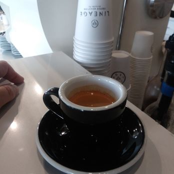 Lineage Coffee Roasting - BESTEST SOE in Orlando ! ! ! (Luke, I hope you're well) - Coffee Roasteries Near Me - Orlando, Florida Lineage Coffee Roasting - BESTEST SOE in Orlando ! ! ! (Luke, I hope you're well) - Coffee Roasteries Near Me - Orlando, Florida