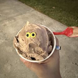 Bruster's Real Ice Cream