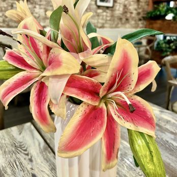 Café Tolia - Cafes Near Me - Philadelphia, Pennsylvania Café Tolia - Cafes Near Me - Philadelphia, Pennsylvania