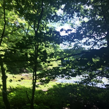 Yellowwood State Forest - Parks Near Me - Nashville, Indiana Yellowwood State Forest - Parks Near Me - Nashville, Indiana