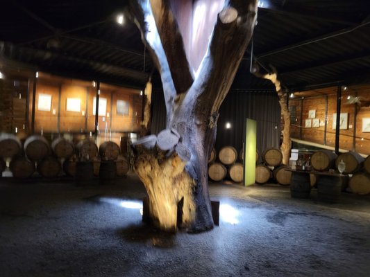 Bruma Valle de Guadalupe by null