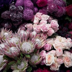 Mary K Floral Design - Fresh roses, natives, and hydrangeas daily