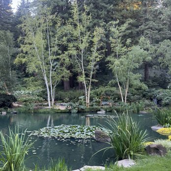 Nestldown - Venues & Event Spaces Near Me - Los Gatos, California Nestldown - Venues & Event Spaces Near Me - Los Gatos, California