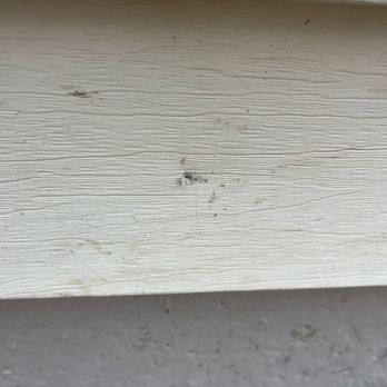 Quinn Concrete - Damage - Masonry/Concrete Near Me Quinn Concrete - Damage - Masonry/Concrete Near Me