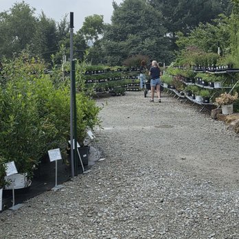 Plumline Nursery - Nurseries & Gardening Near Me - Murrysville, Pennsylvania Plumline Nursery - Nurseries & Gardening Near Me - Murrysville, Pennsylvania