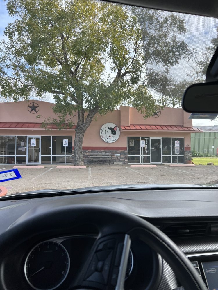 PETS OF PERFECTION with 49 real customer photos Updated August 2024