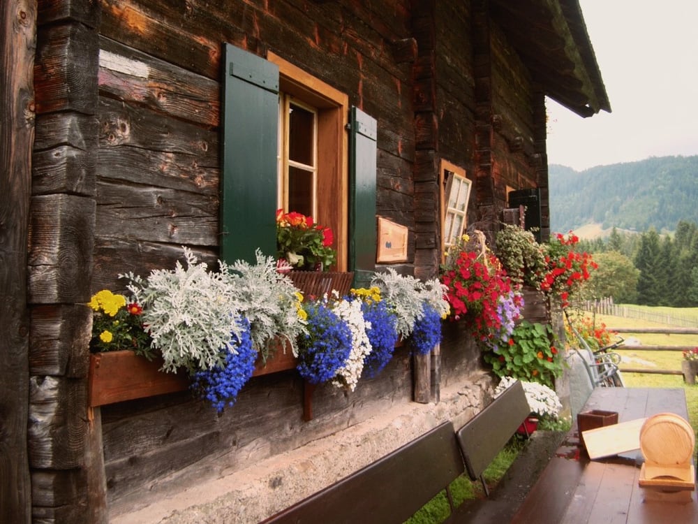 Jausenstation Steineckenalm