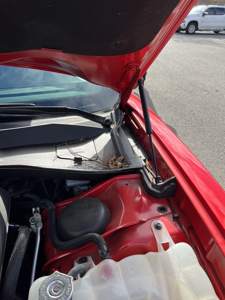 THRIFTY CAR RENTAL Updated September 2024 143 Reviews 2055 Alcoa