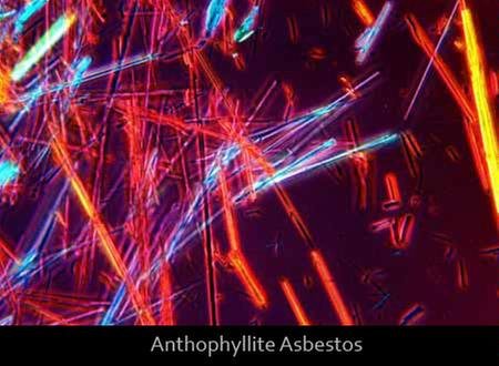 Dixon Information - mold inspector in South Salt Lake, UT