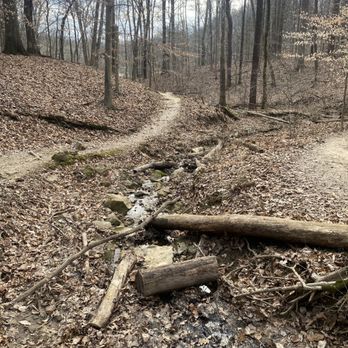 Blue Trail - Hiking Near Me - Prospect, Kentucky Blue Trail - Hiking Near Me - Prospect, Kentucky