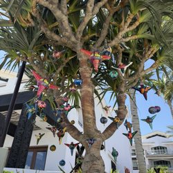 Cabo Azul - Trees with ornaments
