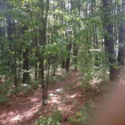 Trails galore!