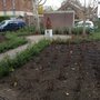 Photo of Czaar Peterplantsoen