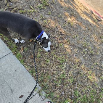 Furry Freight - Daily update photo - Pet Transportation Near Me - North Hollywood, California