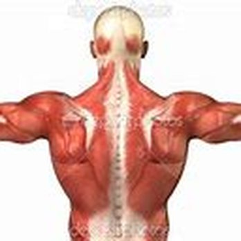 Restorative Muscle Therapy - Massage Therapy Near Me - Flagstaff, Arizona Restorative Muscle Therapy - Massage Therapy Near Me - Flagstaff, Arizona